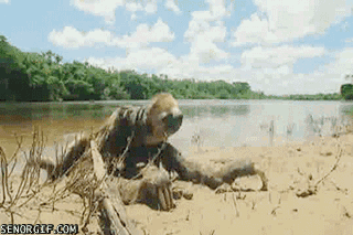 aD0pPOw_460sa_v1.gif