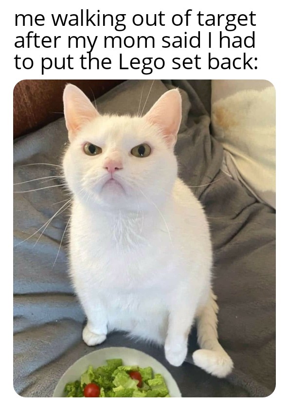 AD262C71-9681-4E5C-912A-2628BA0981DA.jpeg