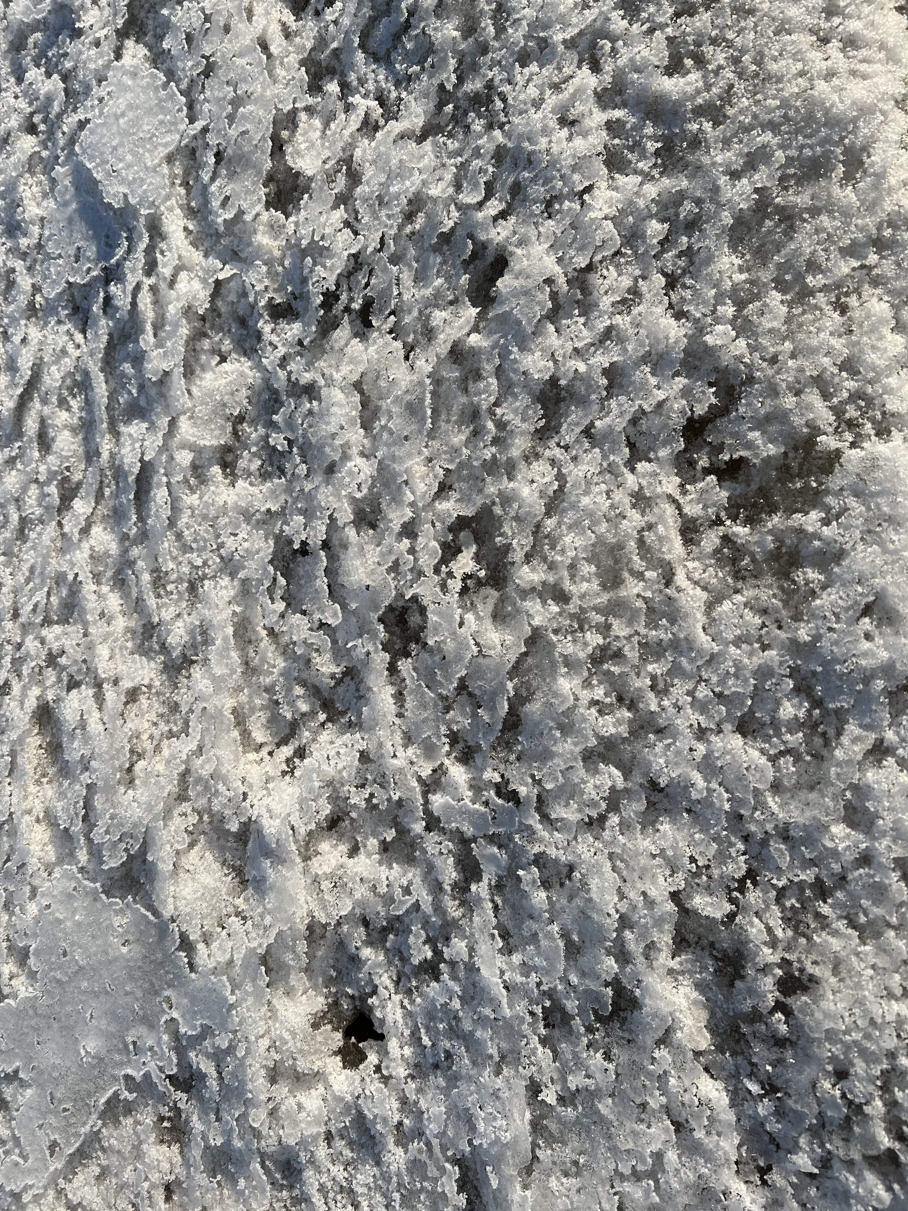 AD7E701E-DF6F-4261-805F-13EE2A69F7A0.jpeg