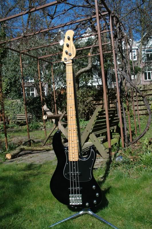 ade6667c.jpg
