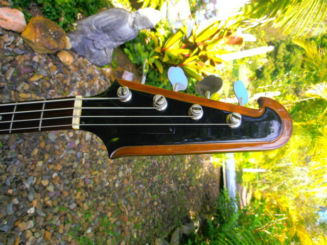 adi8t2.jpg