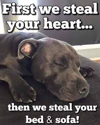 AEAEBAE1-C060-4100-9236-92871CCA7067.jpeg