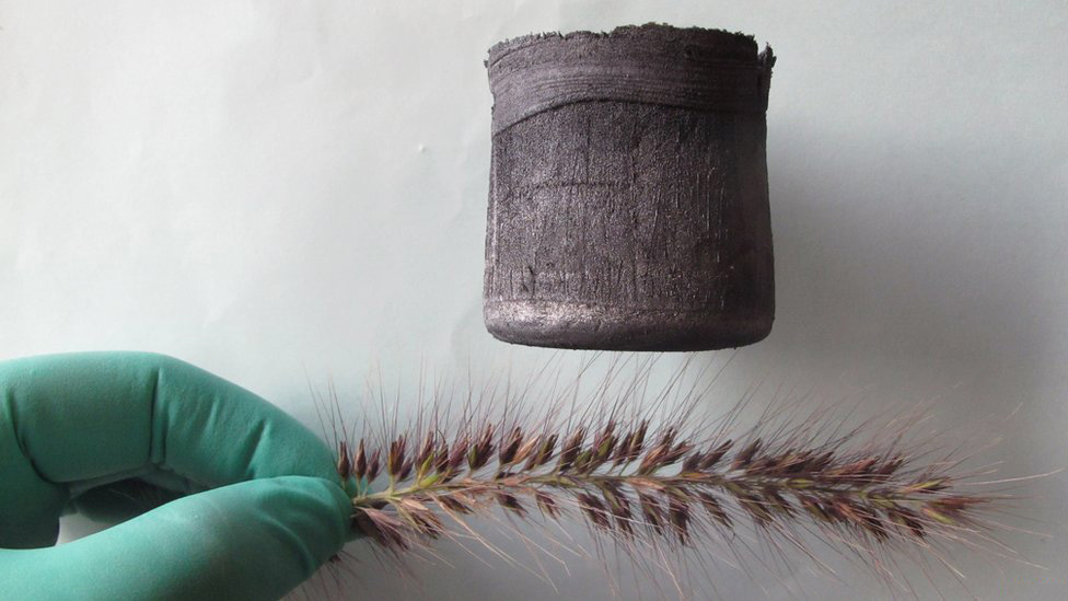 aerogel-grass-spines.jpg