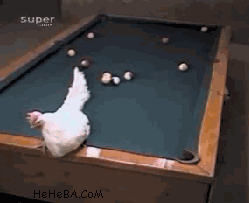 aEw9ybG_460sa_v1.gif