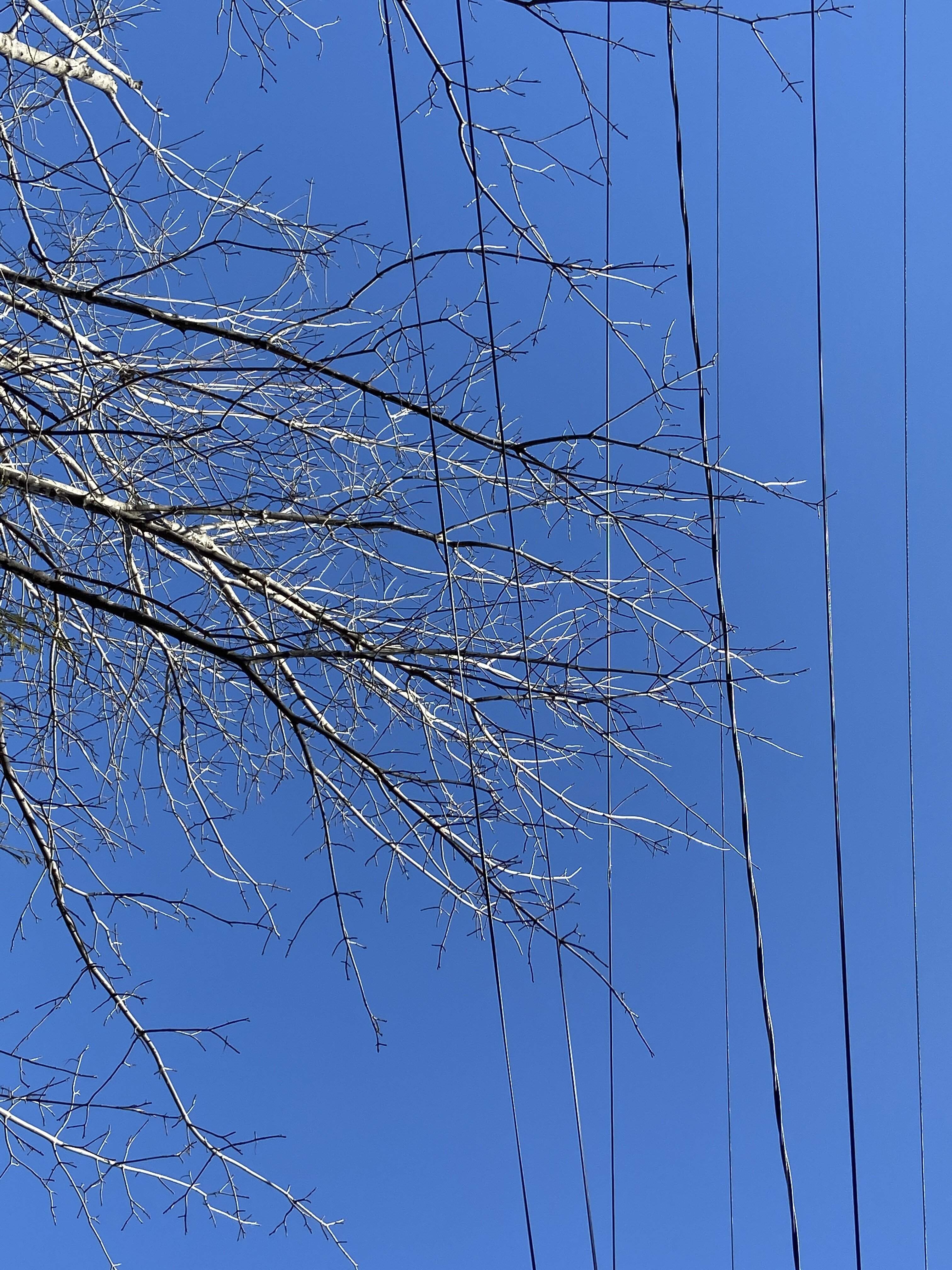 AF187D12-86CB-426F-895D-AC66E0F8A470.jpeg
