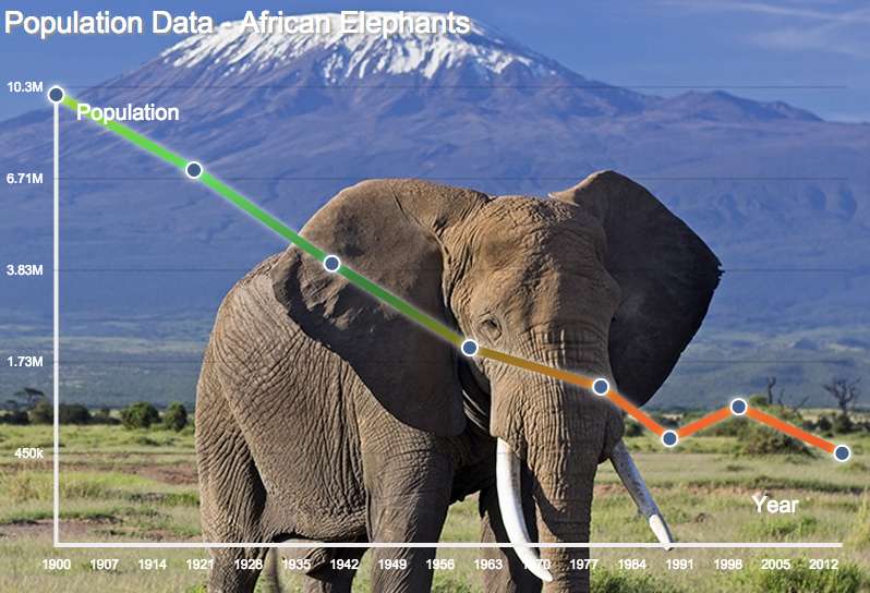 African-Elephant-Population.jpg