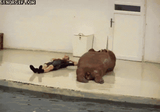 aG9GNZ5_460sa.gif