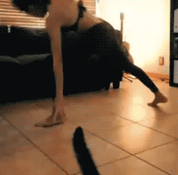 aG9mOAw_460sa_v1.gif
