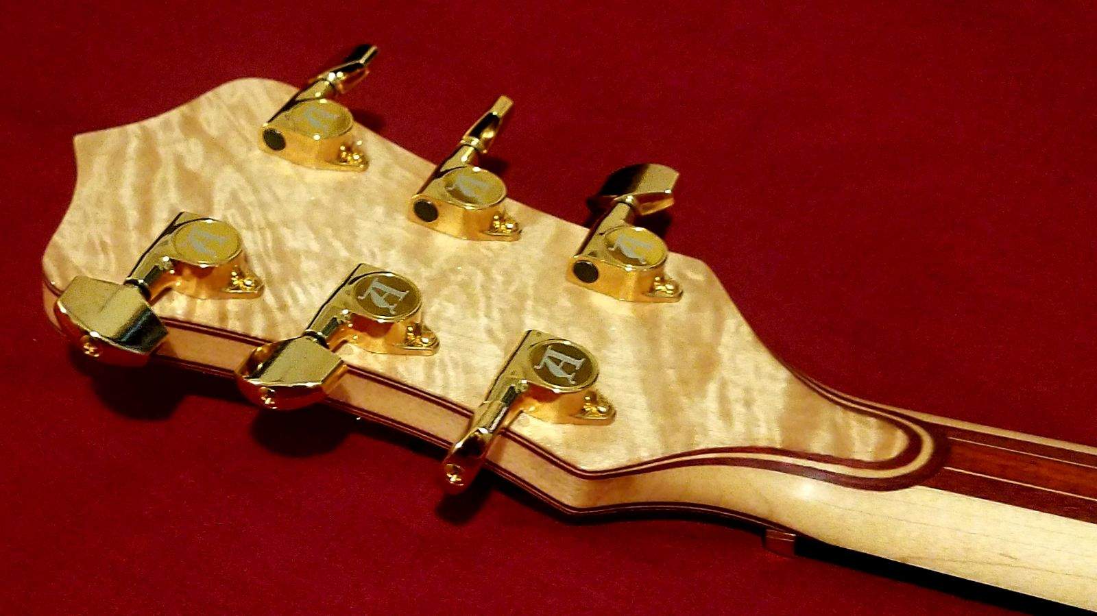 Aglaope headstock (back_angled).jpeg