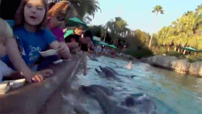 agy2Q1W_460sa.gif