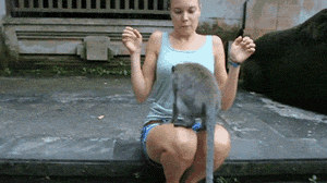 agy2zjg_460sa.gif