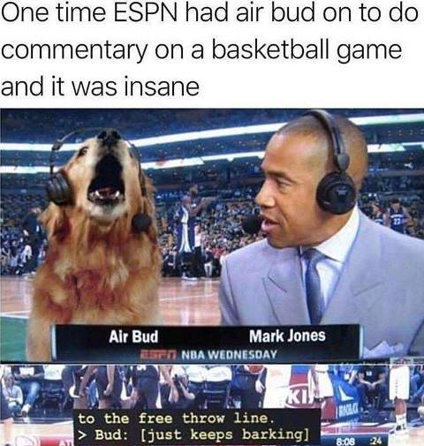 Air Bud.jpg