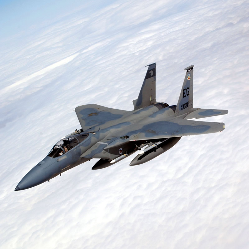 AIR_F-15C_CAP_lg.jpg