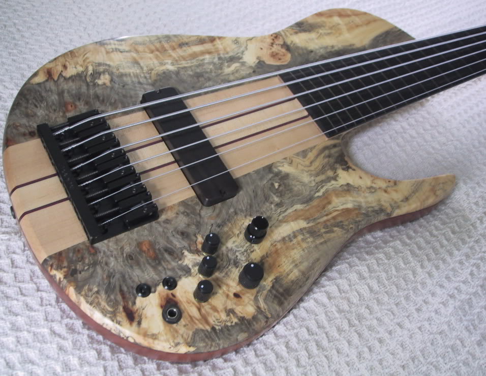 aj6chestfretless2.jpg