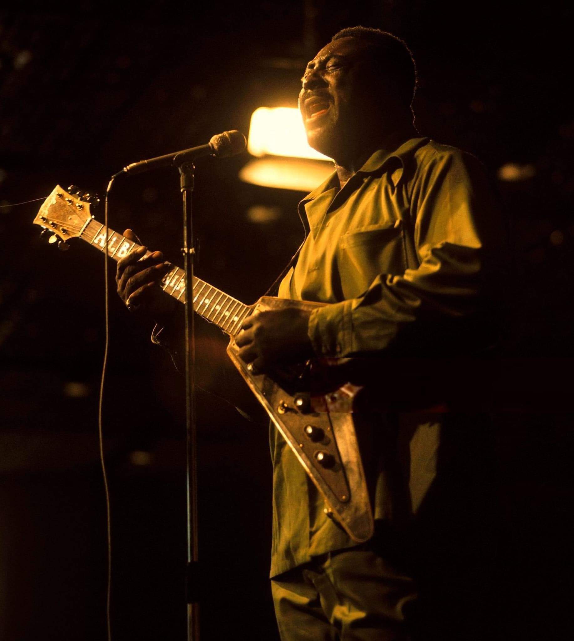 Albert King.jpg