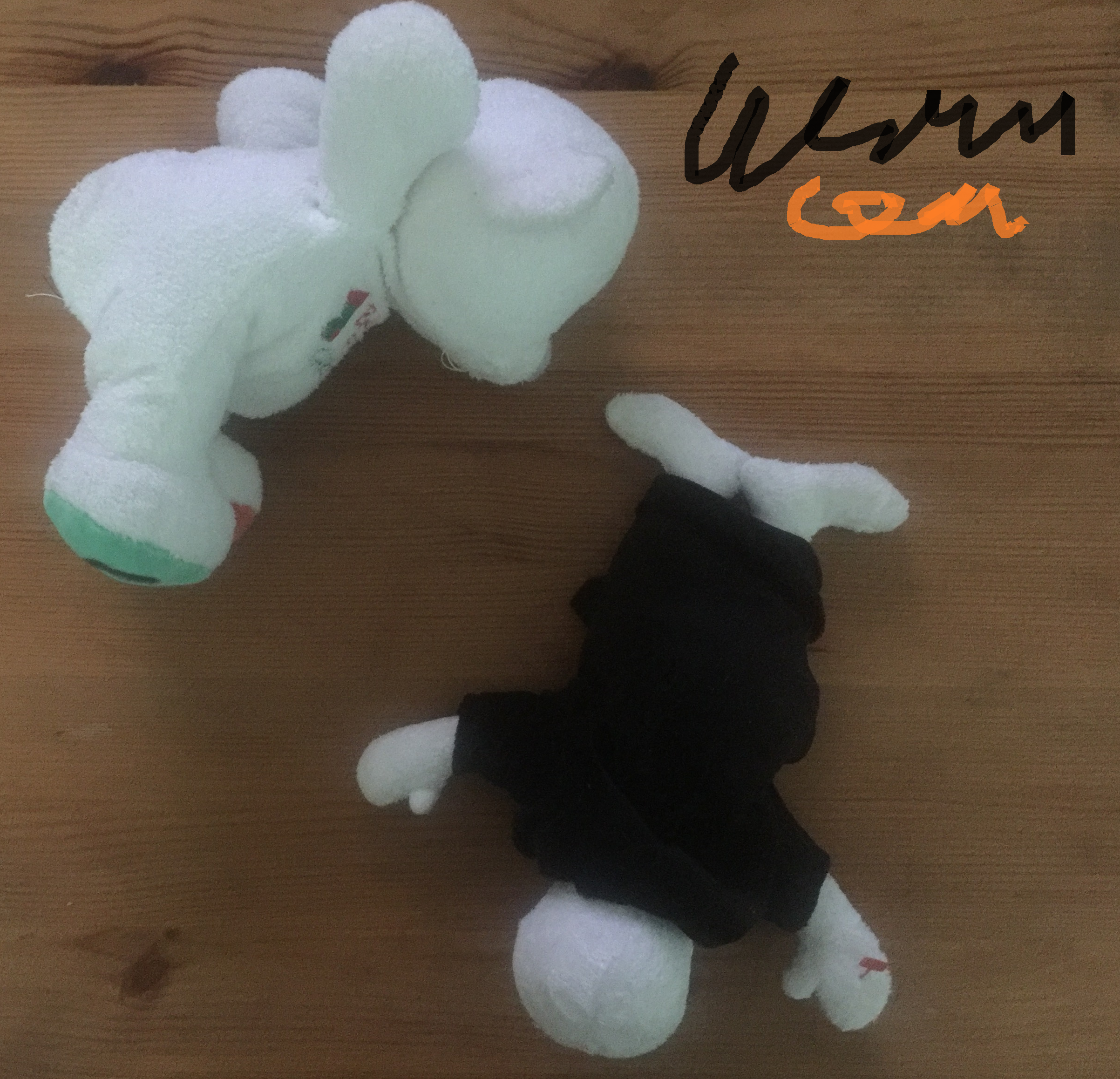 album 3.png