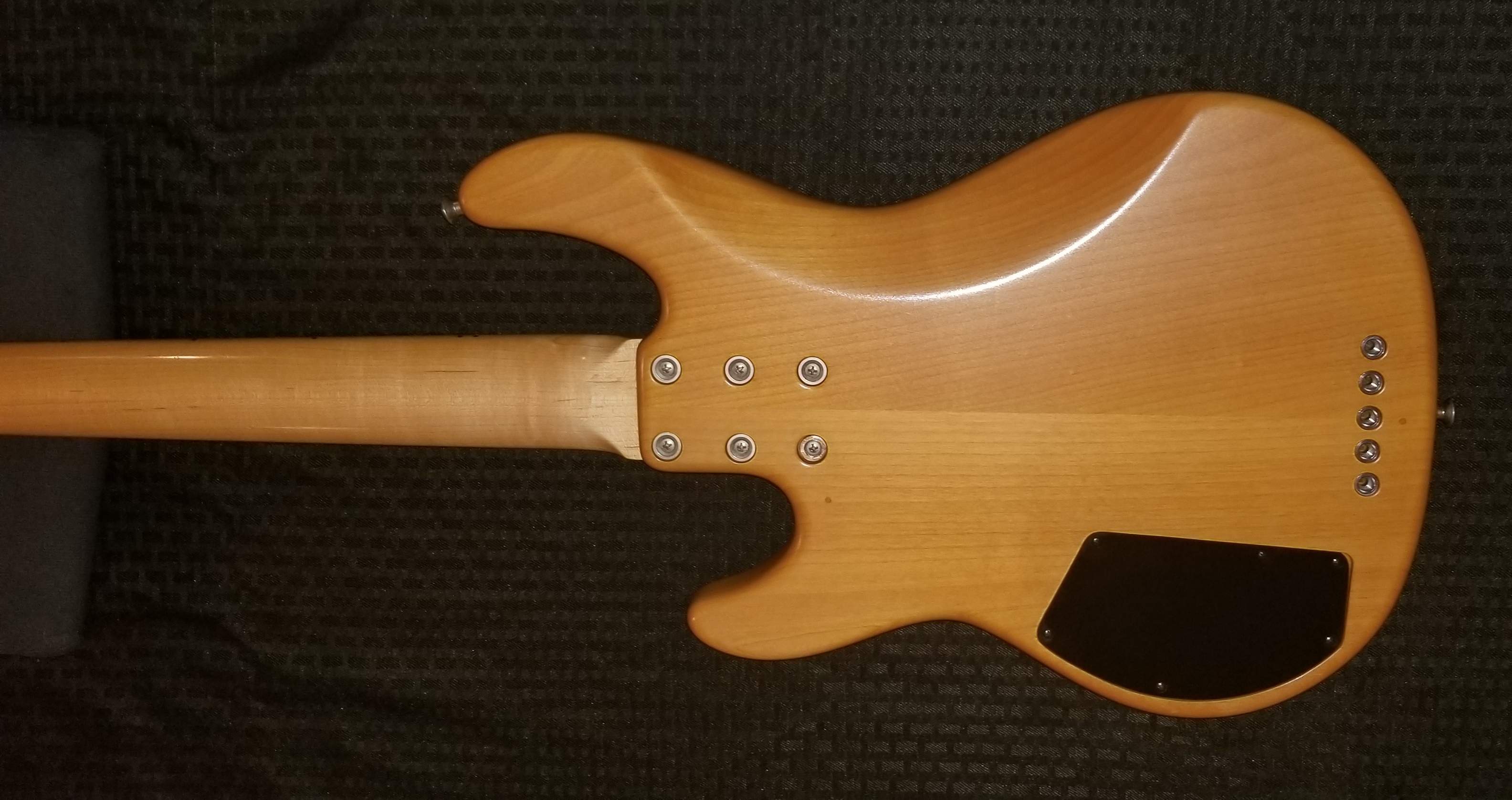 Alder maybe.jpg