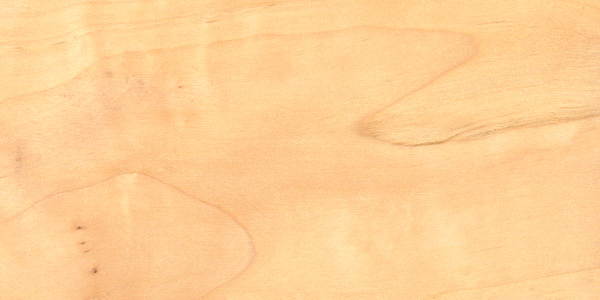 alder01.jpg