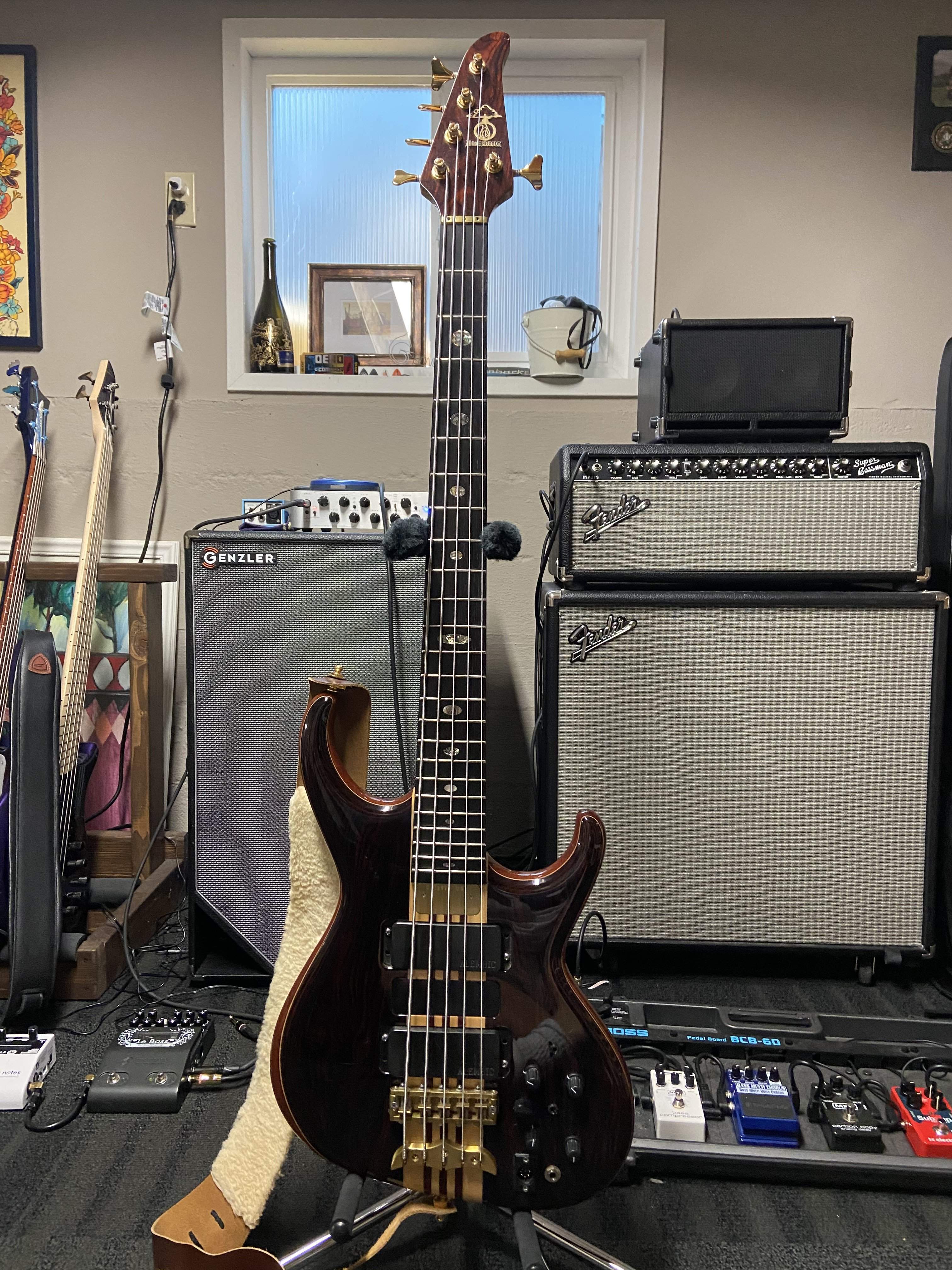 Alembic Europa 5 String.jpg