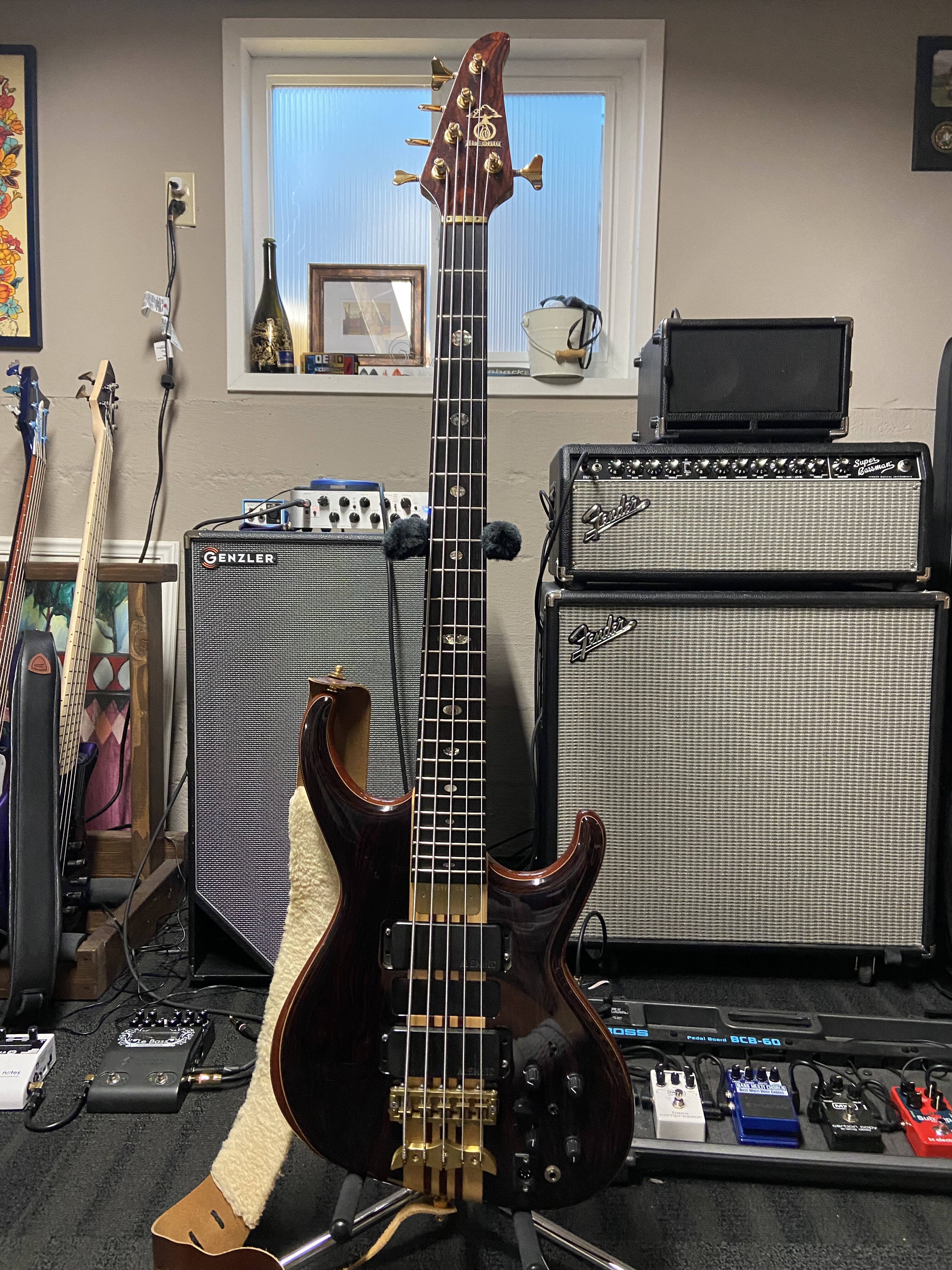 Alembic Europa 5 String.jpg