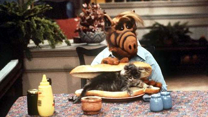 alf-cat-sandwhich.jpg