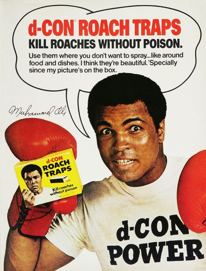 ali-photo.jpg
