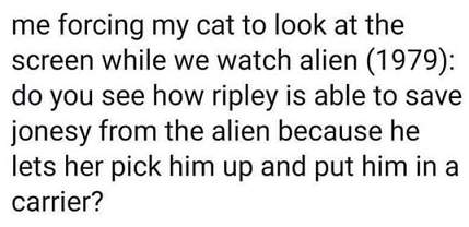 alien cat.jpg