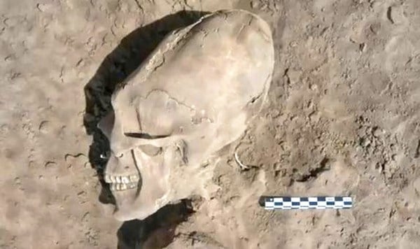 alien-skull-mexico-1.jpg