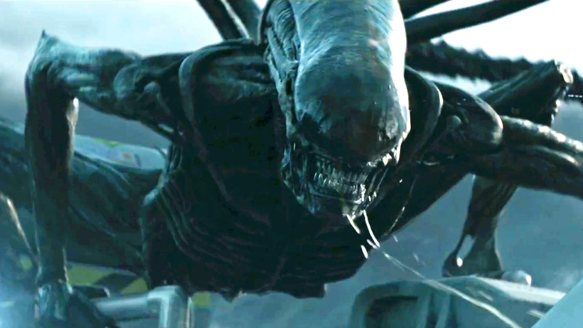 alien1.jpg