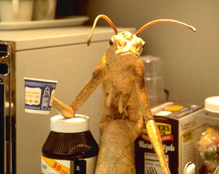 alien_worm.jpg