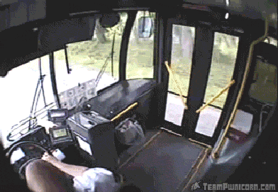 aLKbY4W_460sa.gif
