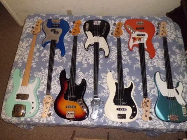 All basses 2014 002.JPG