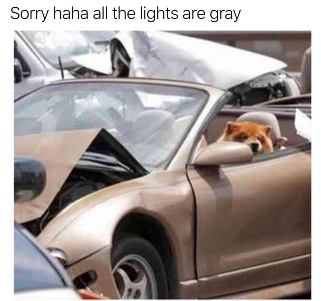 all the lights are gray.jpg