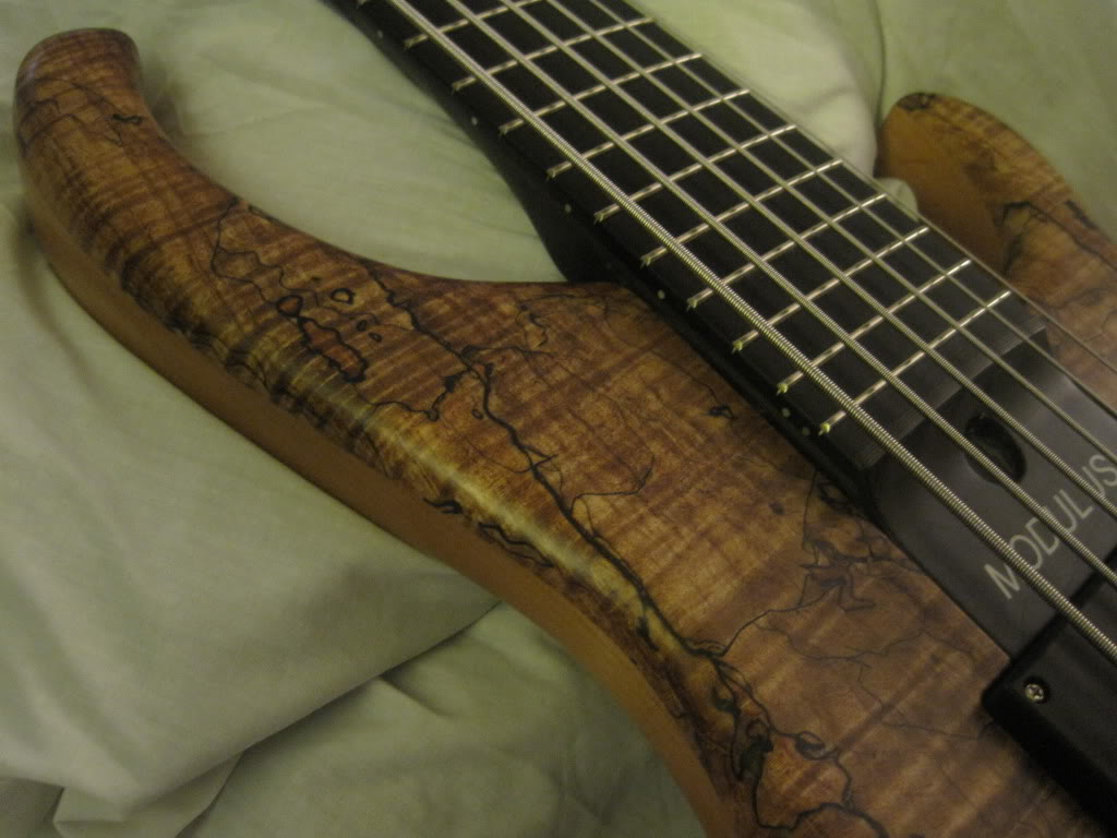 allbasspics007.jpg