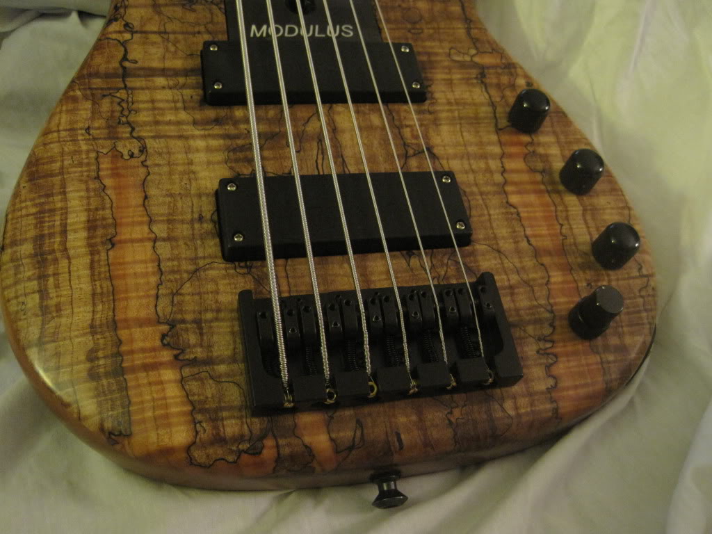 allbasspics008.jpg