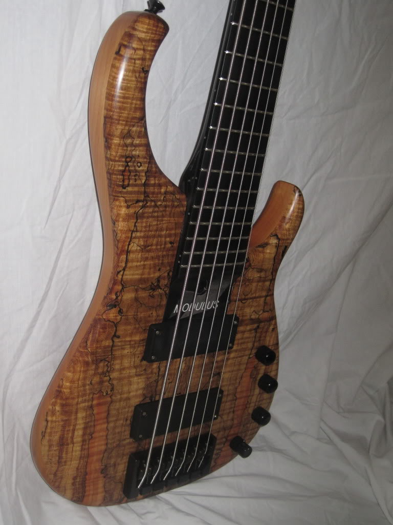 allbasspics013.jpg