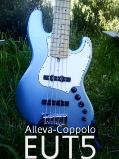 Alleva-CopolloEUT5June10.jpg