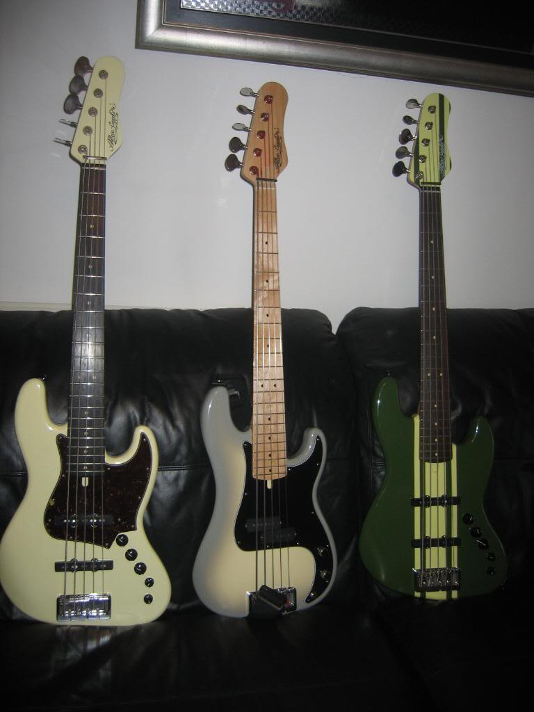 AllevaFender018.jpg