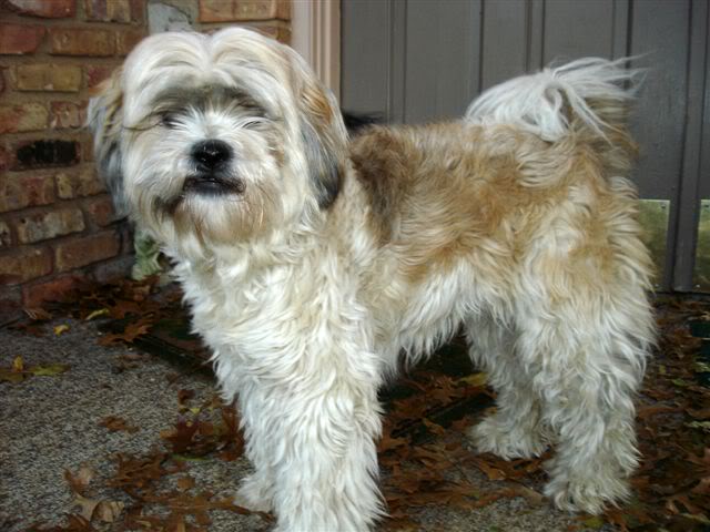 alliethanksgiving2006.jpg
