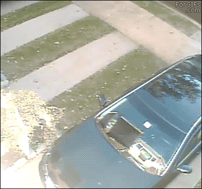 aM1Nr16_460sa.gif