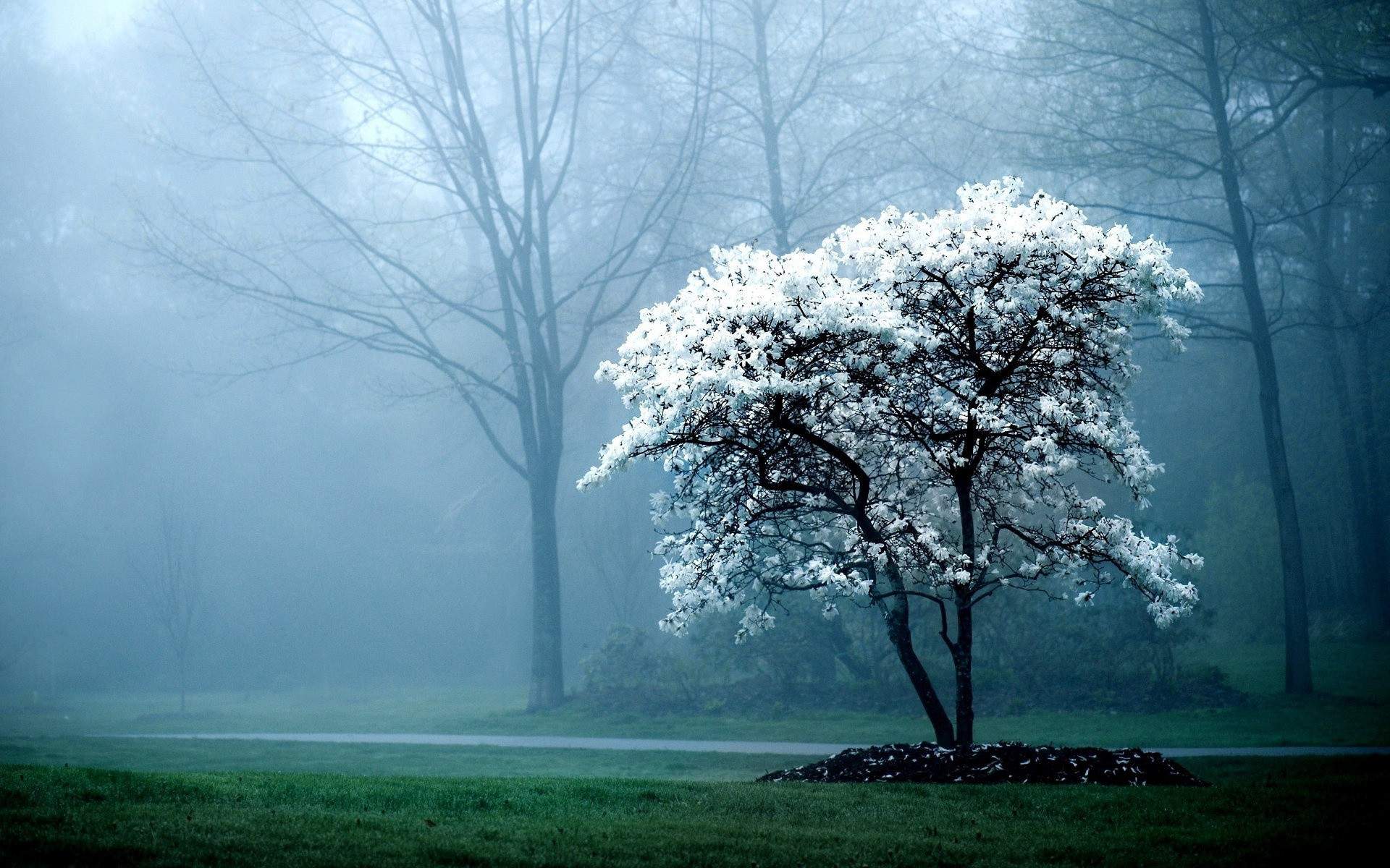 AmazingNature309.jpg