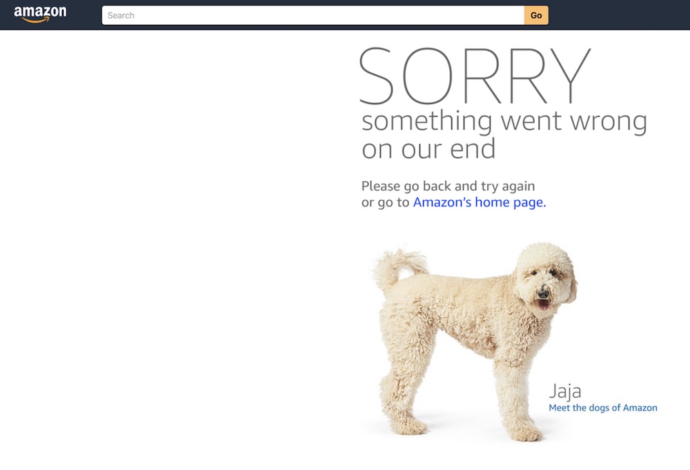 amazoncrash.jpg