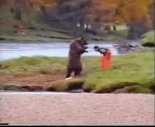 AmbitiousCaringBarnacle-size_restricted.gif