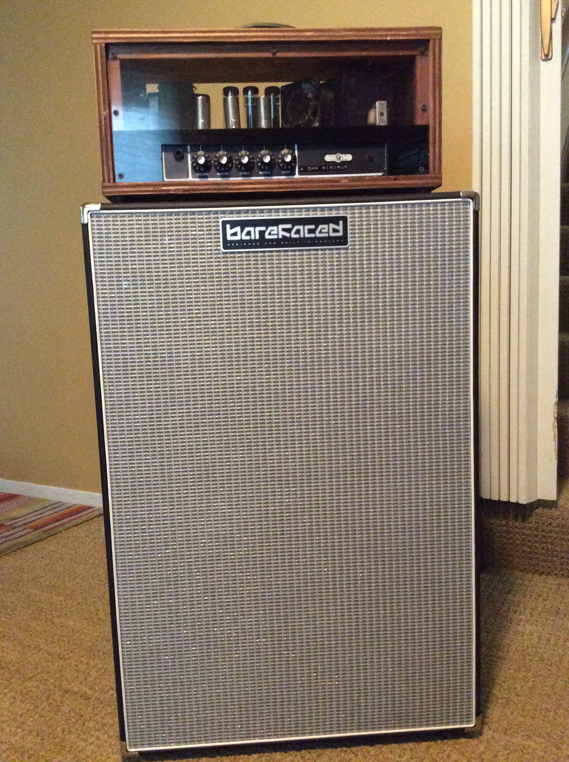 amp and cab 002.JPG