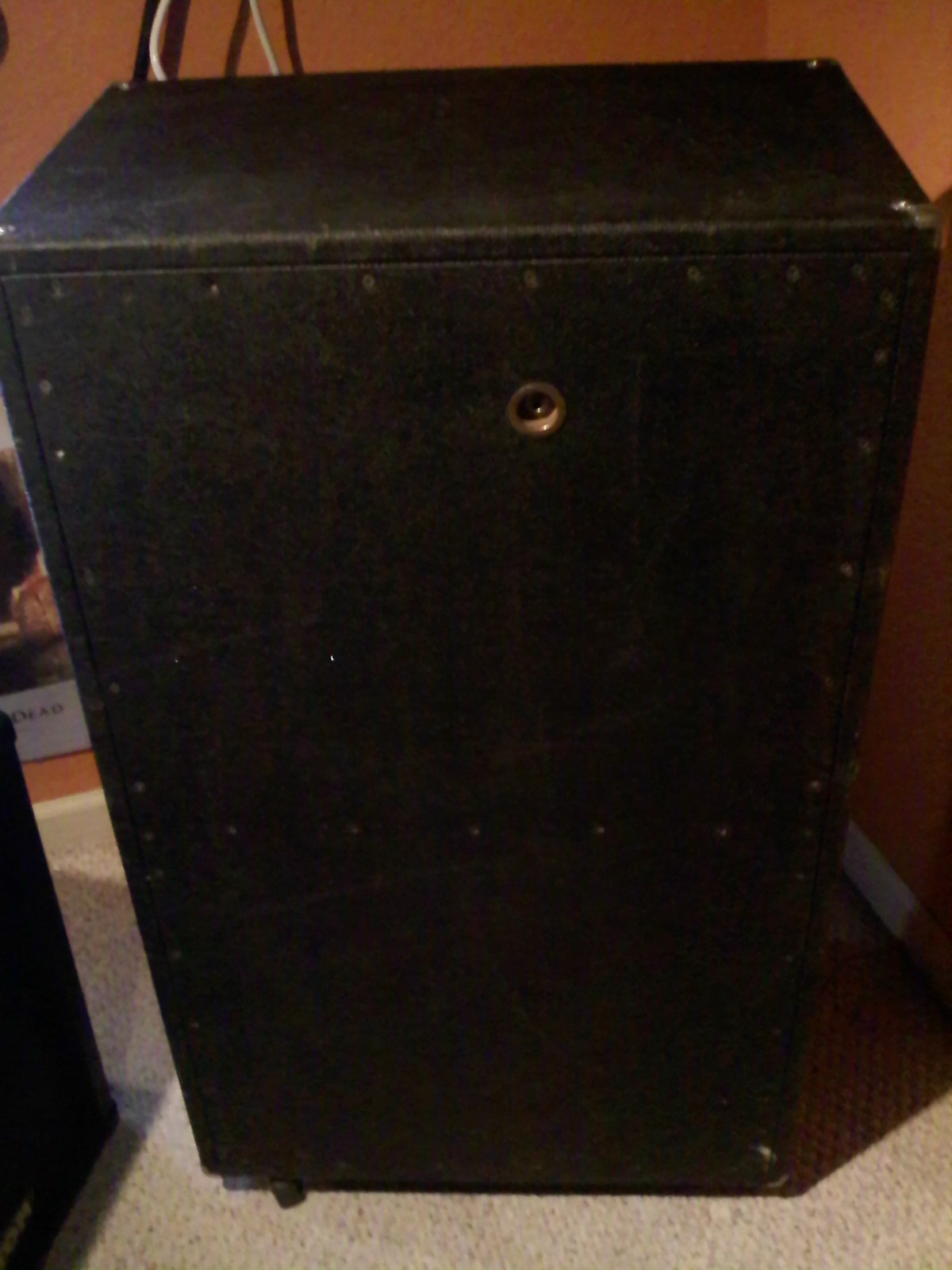 Ampeg%20back.jpg