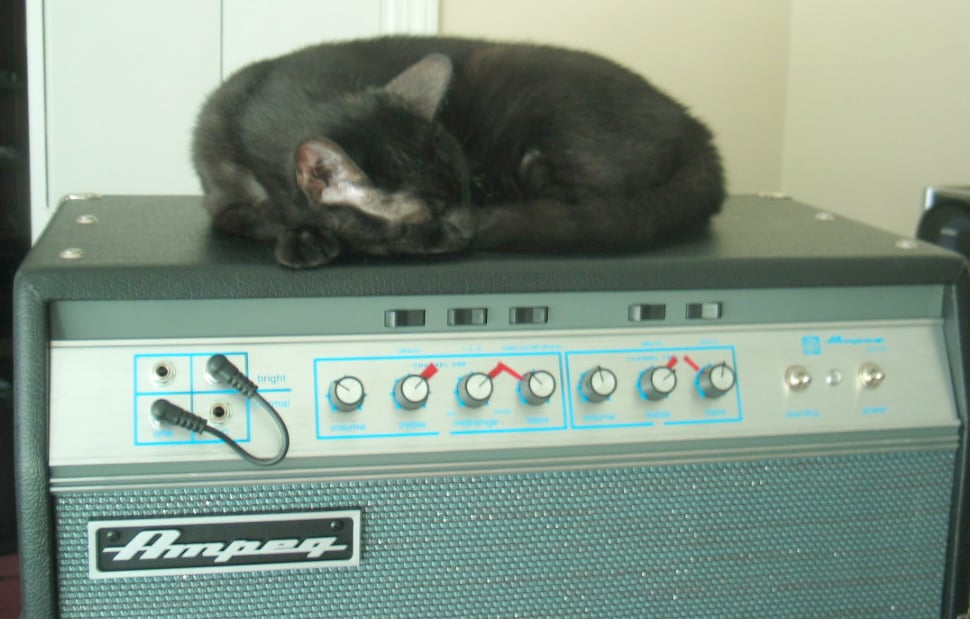 Ampeg%20Loki.jpg