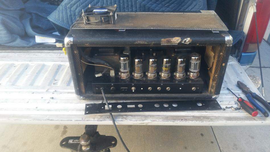 Ampeg back.jpg