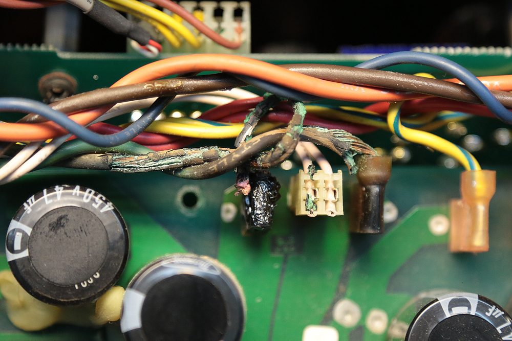 ampeg1.jpg