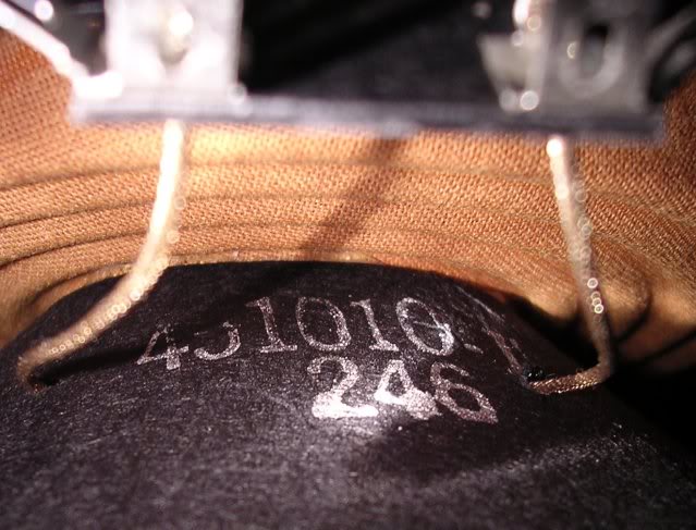 ampeg3.jpg