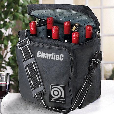 ampeg_bag.jpg